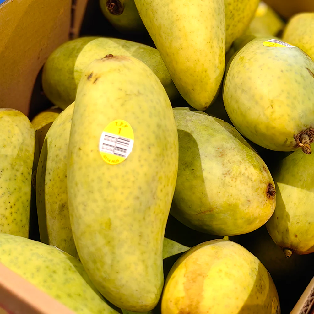 TPP Crescent Mangoes - 2 Pieces - Image 3