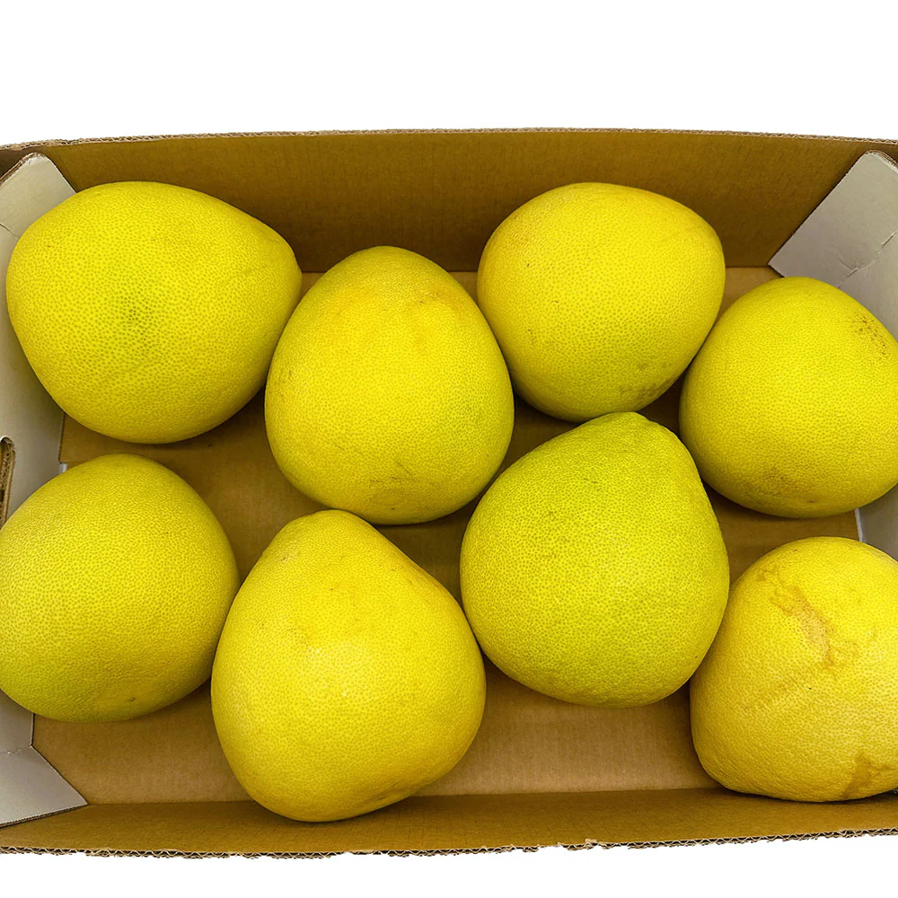 Ultra-Sweet Seedless Jinlan Pomelo - 1 Piece, 1kg - Image 2