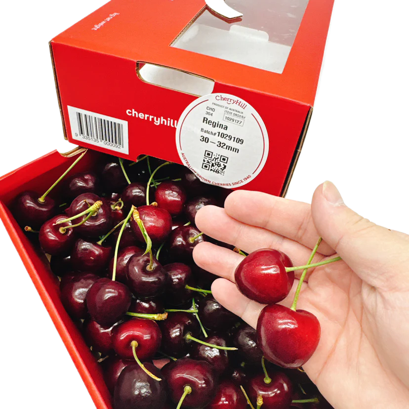 CherryHill Regina Cherries 30-32mm Christmas Premium Gift Box 1kg - Image 4
