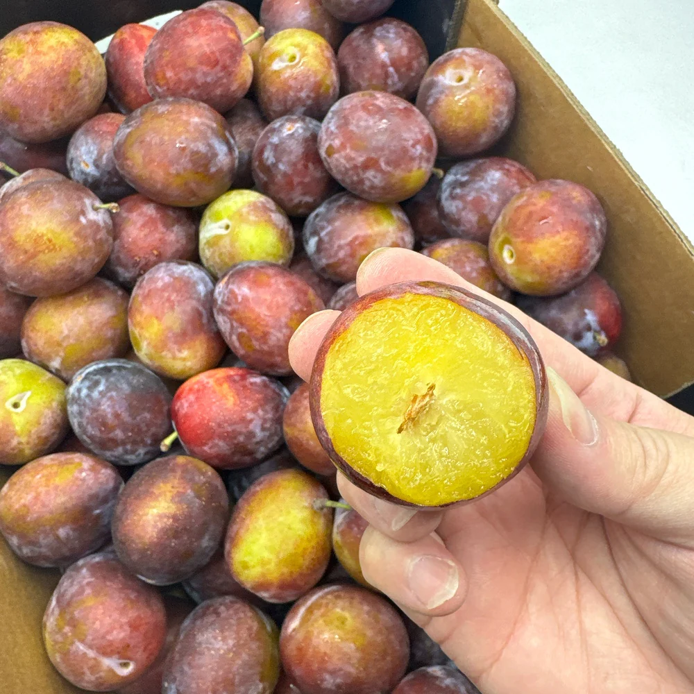 Umall Fresh Plums - 500g - Image 2