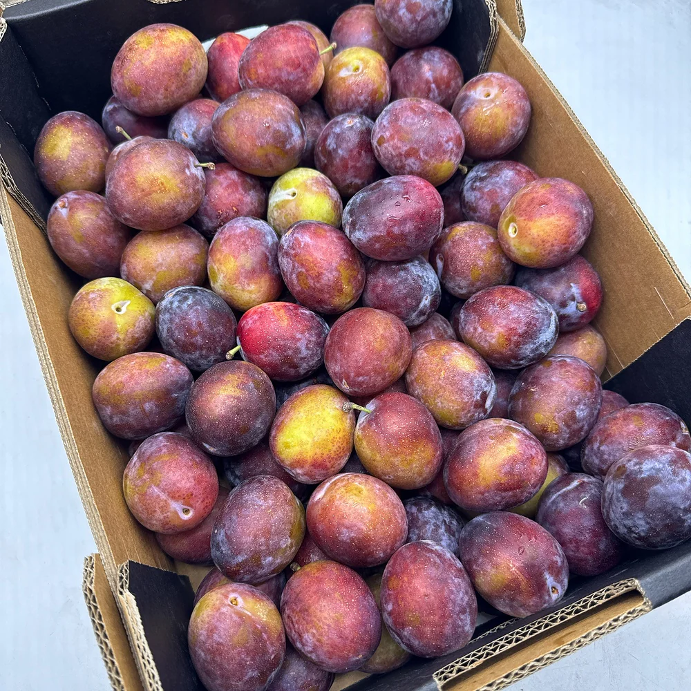 Umall Fresh Plums - 500g - Image 4