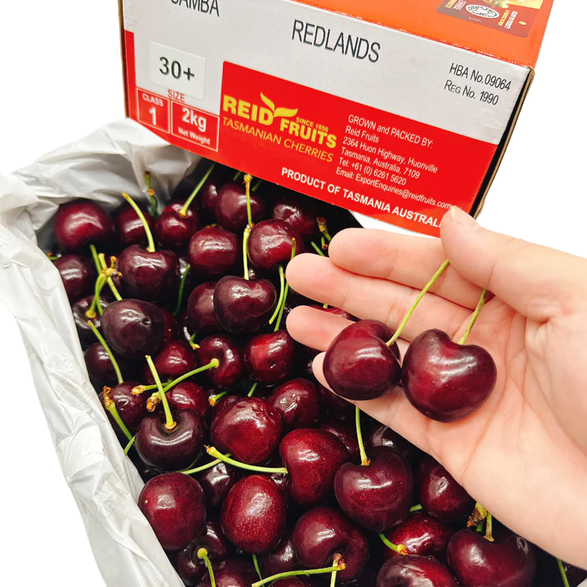 Tasmania Reid Cherries 30mm+ Gift Box 2kg - Image 4
