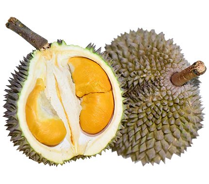 D13 Zhuque 'Little Black Thorn' Golden Durian - 2.2kg Each