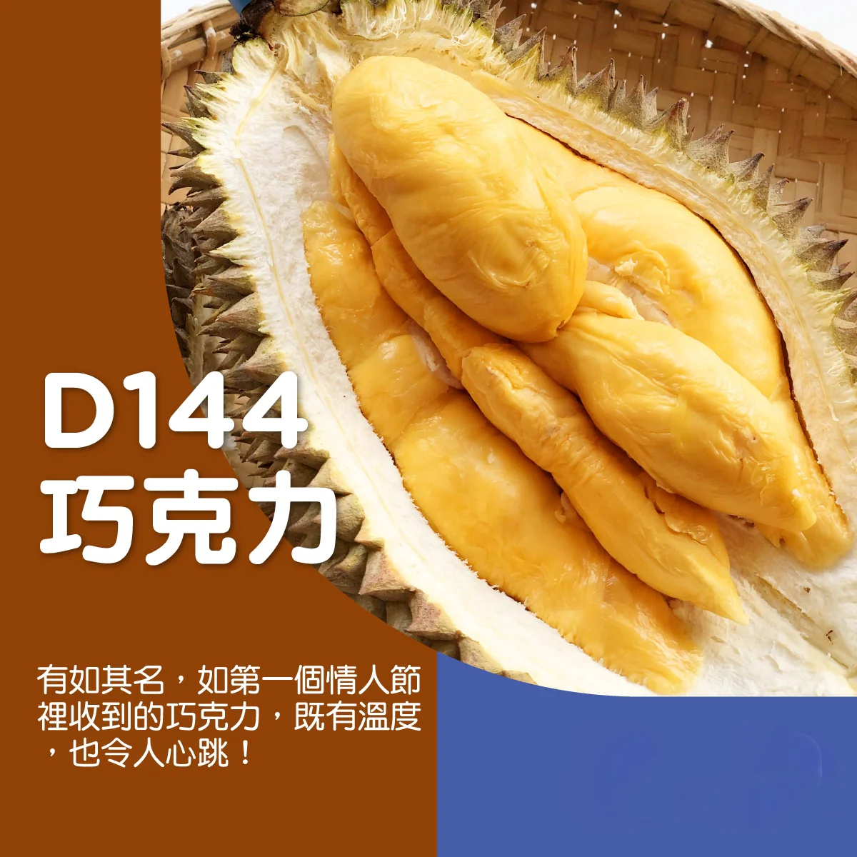 D144 Chocolate Durian - 1.8kg Each