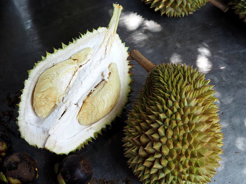 D17 Old Lady Durian - 1.4kg