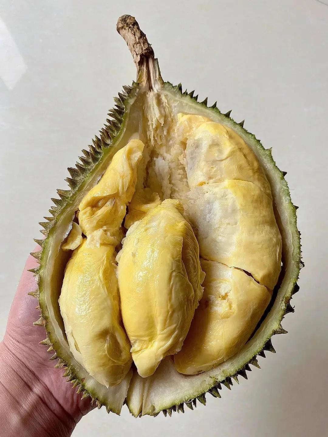 D2 Datuk Nina Lover's Dream Durian - 2.2kg Each - Image 2