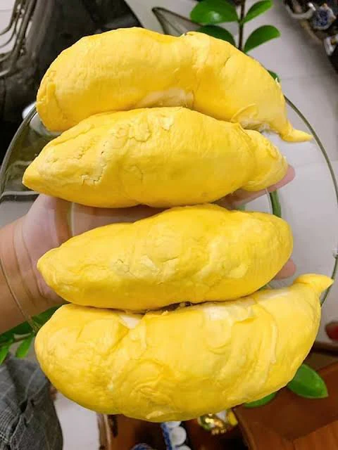 Ri6 Vietnamese Seedless Durian Pulp - 700g - Image 2