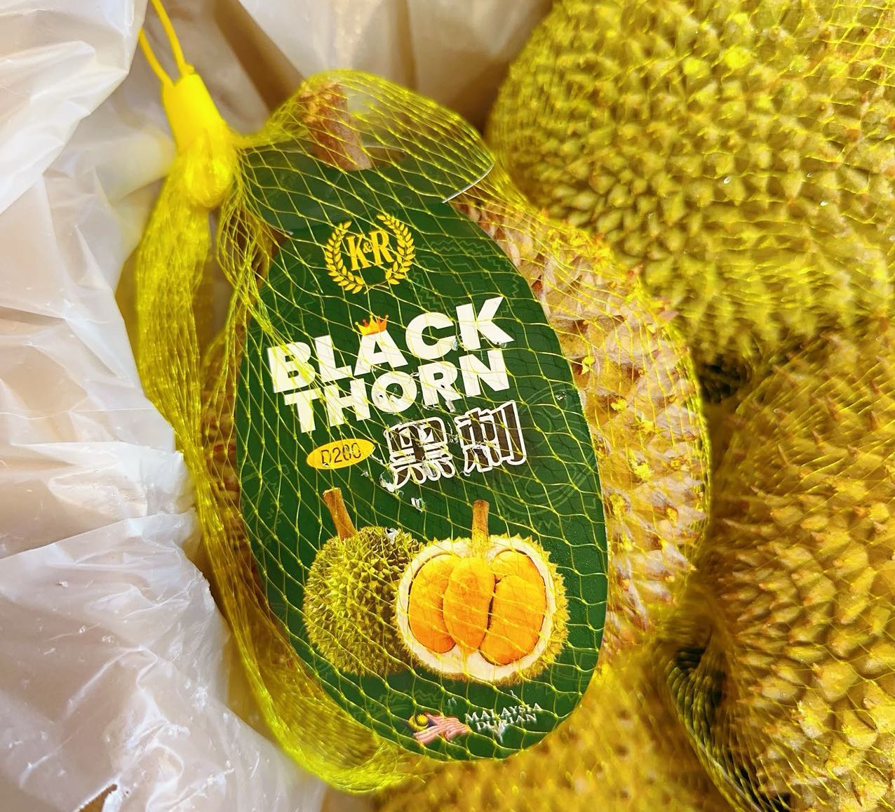 D200 Black Thorn Durian - 1.4kg Each - Image 2
