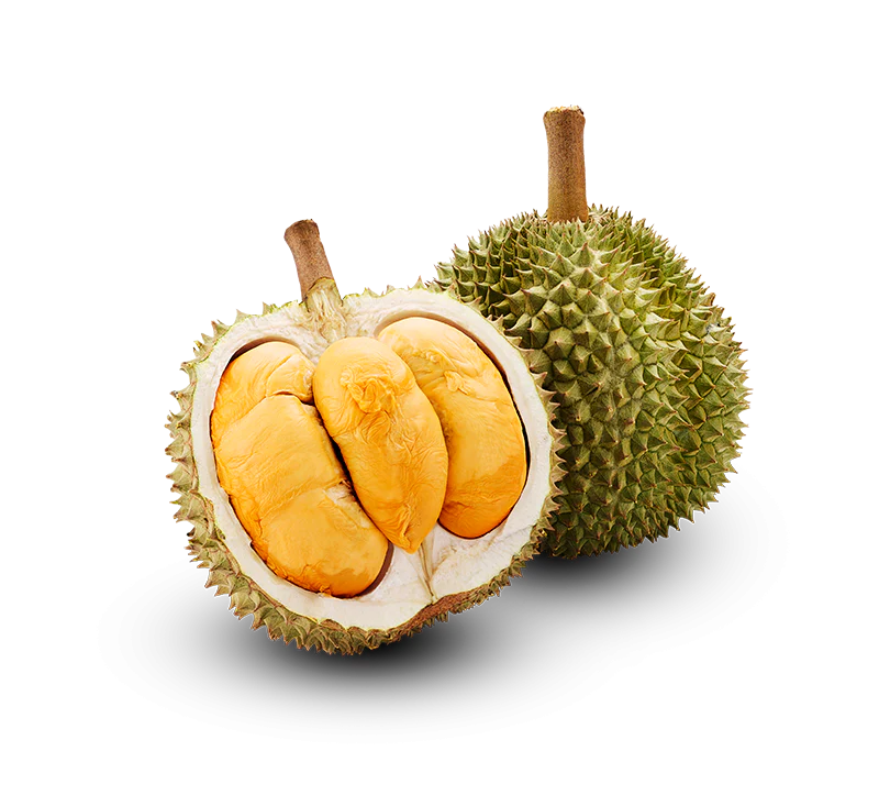 D200 Black Thorn Durian - 1.8kg Each