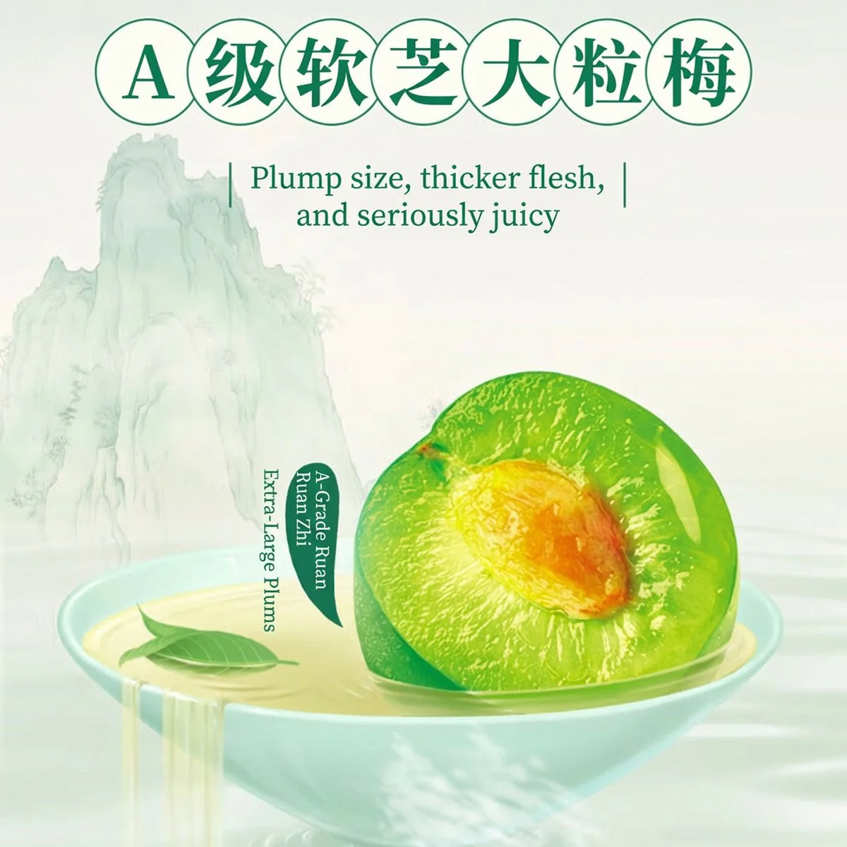 Uni-President Green Plum Green Tea 500ml - Pack of 2 - Image 4