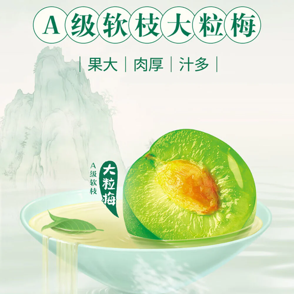 Uni-President Green Plum Green Tea - 500ml x 15 Bottles - Image 4