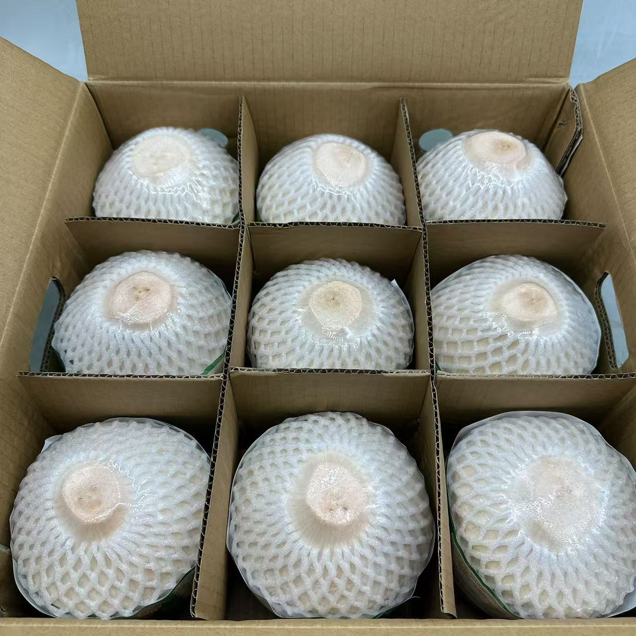 Vietnam Premium Large Young Coconuts – Box of 9 - Fresh Drinking Coconuts - Image 2