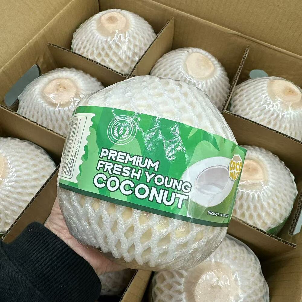 Vietnam Premium Large Young Coconuts – Box of 9 - Fresh Drinking Coconuts - Image 3