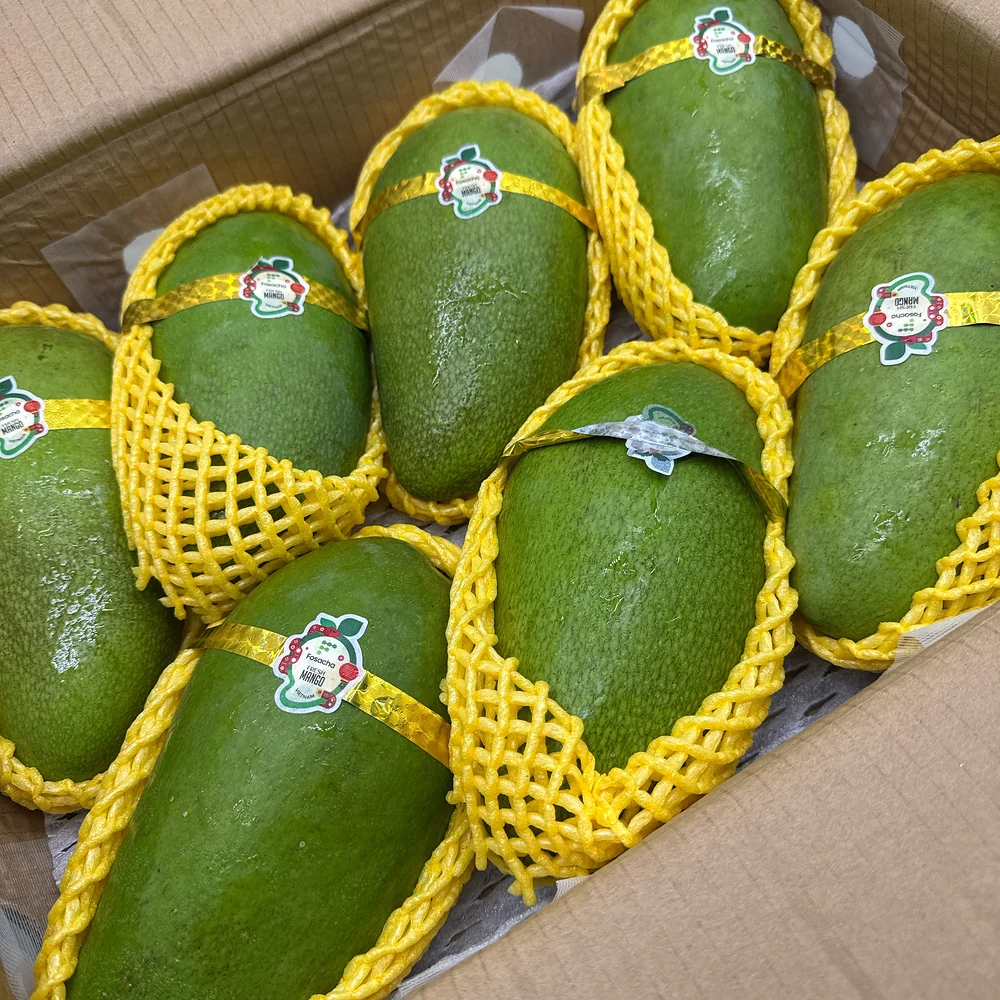 Vietnamese Green Mango - 1 Piece - Image 2