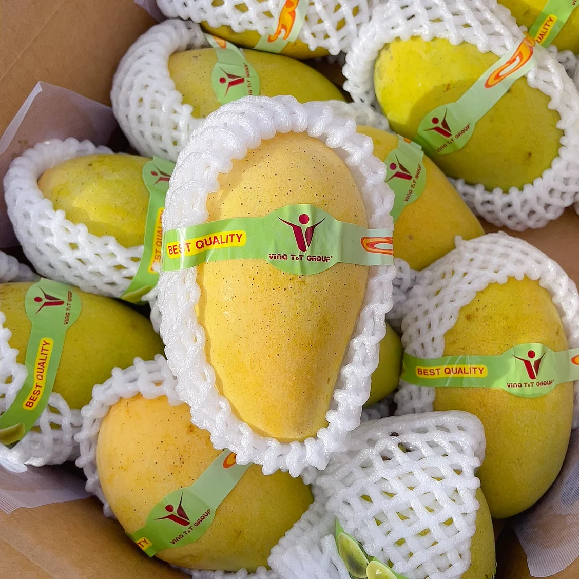 Vina T&T Group Sweet Mangoes from Vietnam - 2 Pieces - Image 2