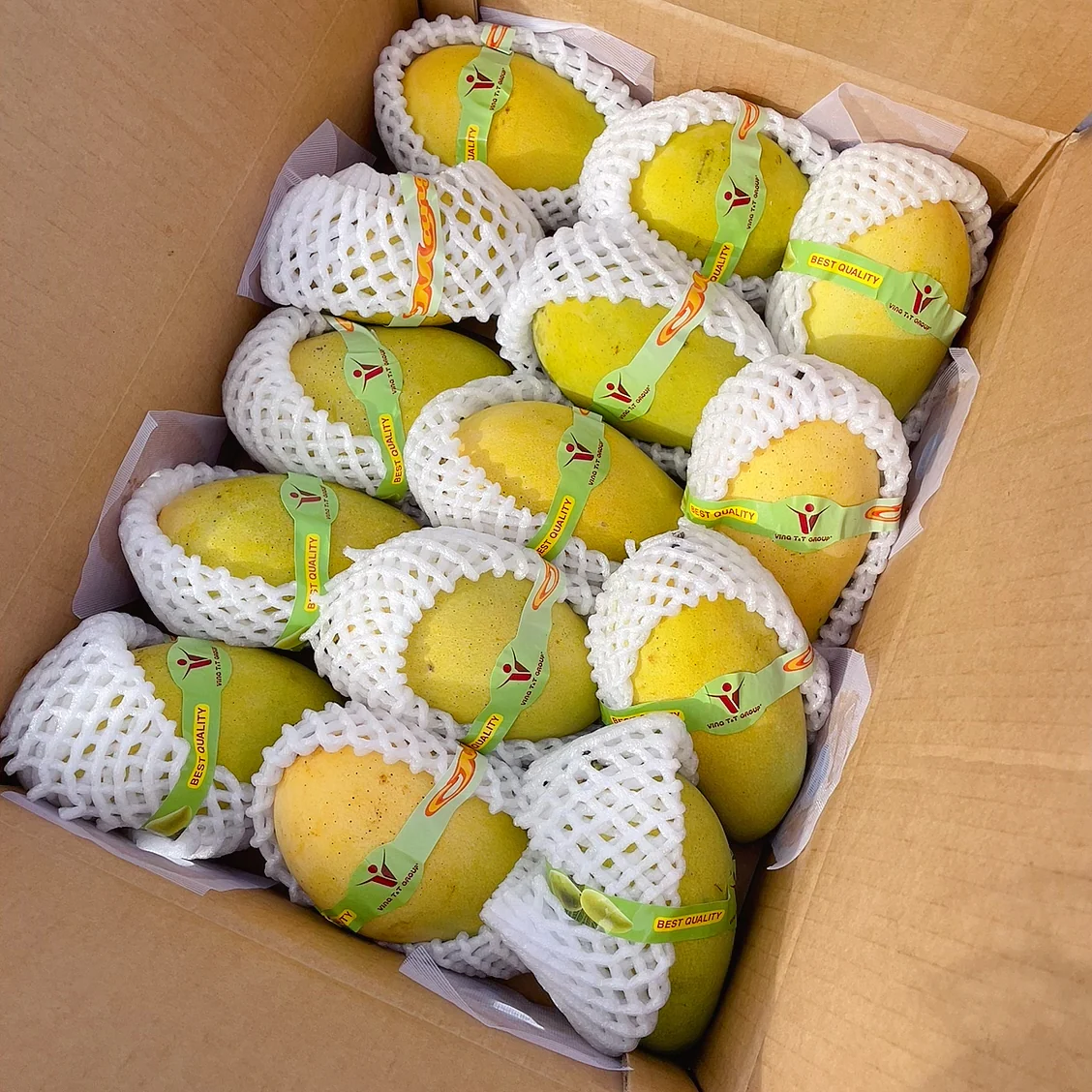 Vina T&T Group Sweet Mangoes from Vietnam - 2 Pieces - Image 3