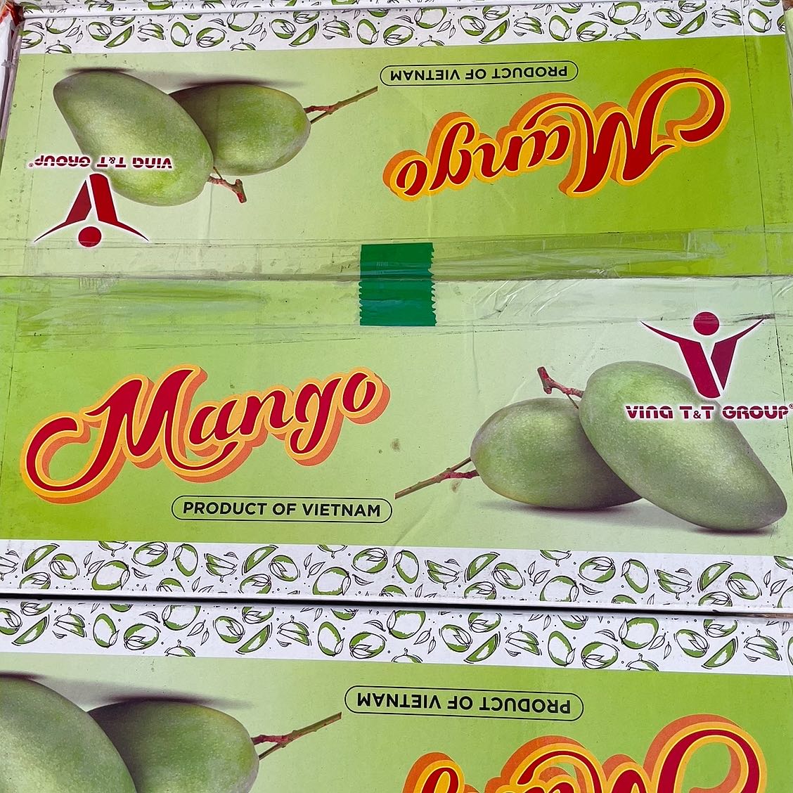 Vina T&T Group Sweet Mangoes from Vietnam - 2 Pieces - Image 4