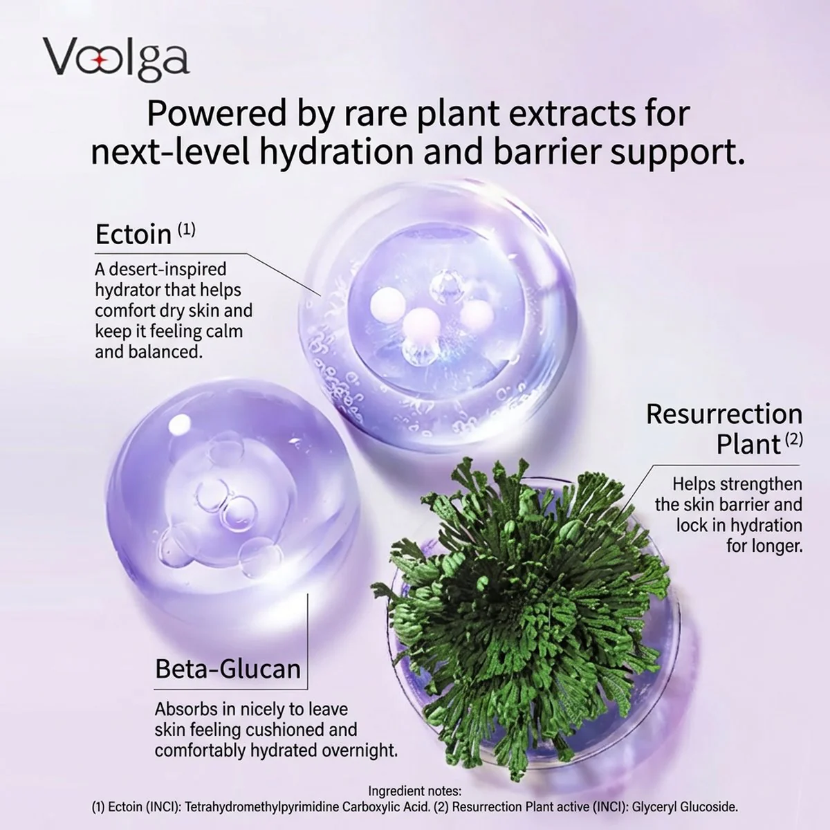 Voolga Ectoin Sleeping Mask 100g - Image 3