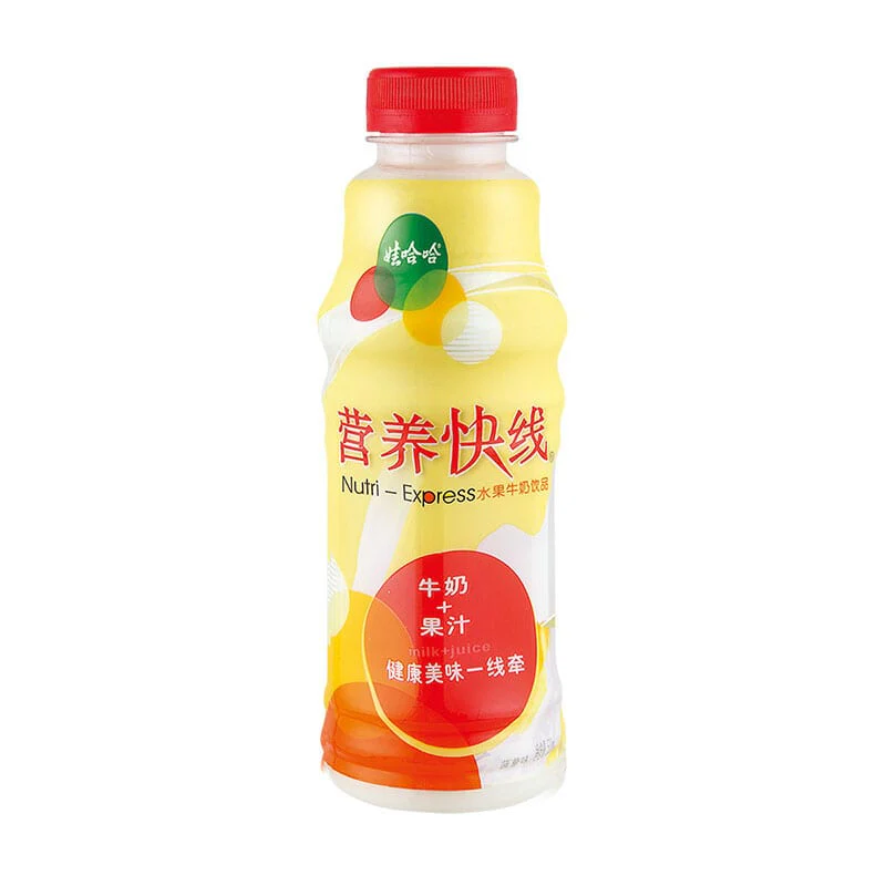 Wahaha Nutri-Express Pineapple Flavor 500ml - Box of 15 - Image 2