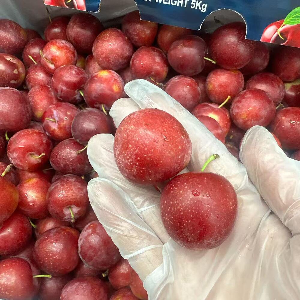 Wandin Valley Farms Sweet Pixie Plums 500g - Image 2
