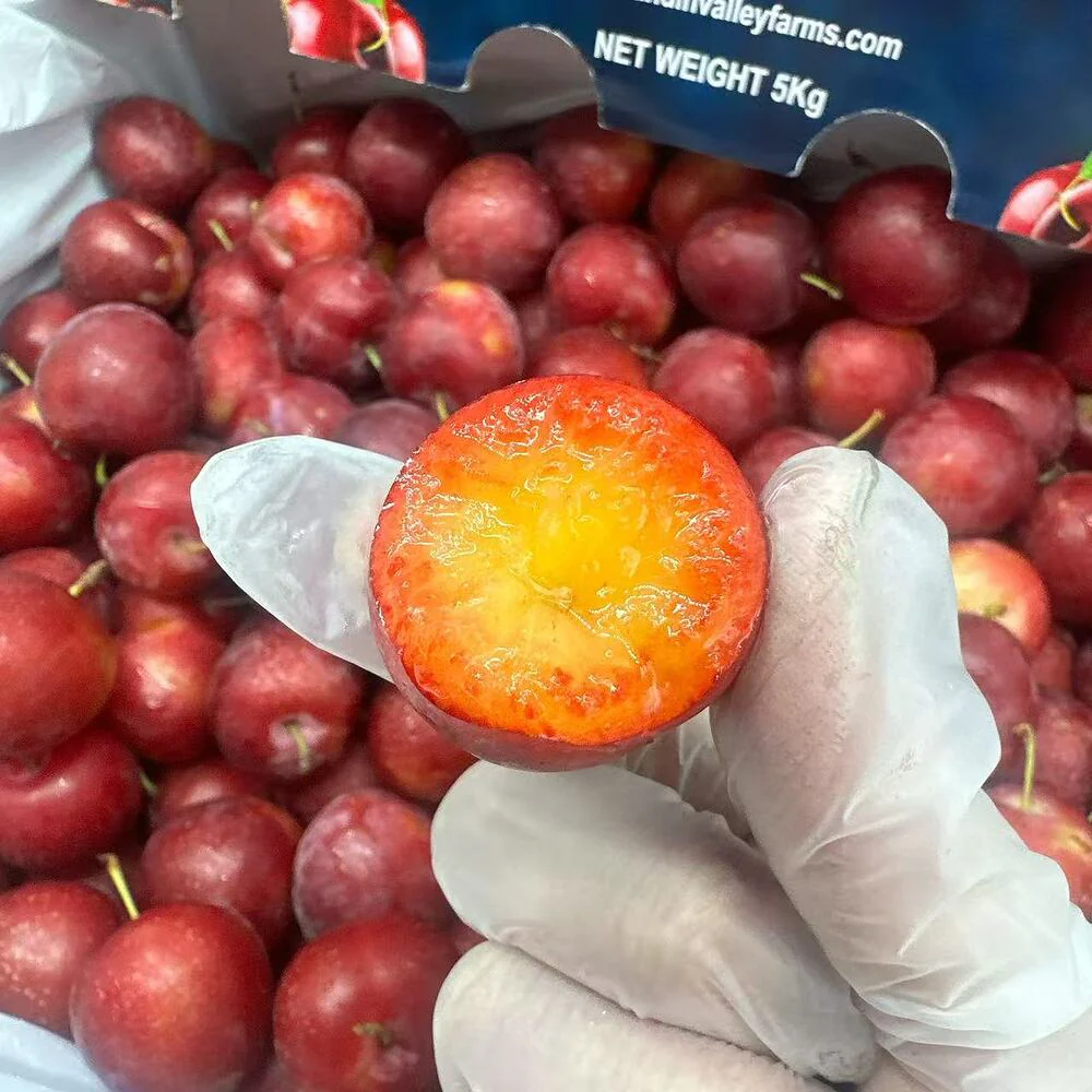 Wandin Valley Farms Sweet Pixie Plums 500g - Image 3