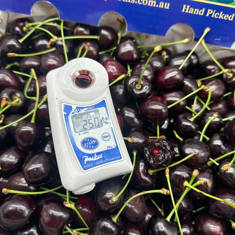 Wandin Valley Farms Tasmanian Kordia Cherries 28–30mm - 500g Box - Image 2
