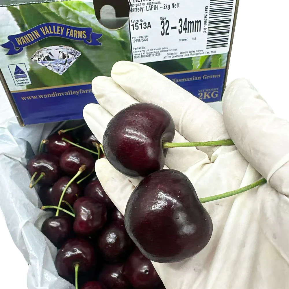 Wandin Valley Farms Tasmanian Lapin Cherries Gift Box 2kg – 32–34mm - Image 3