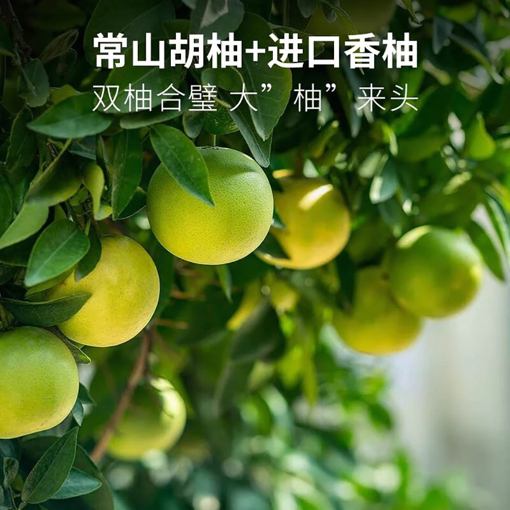Wanglaoji Double Grapefruit Juice - 300ml - Image 3