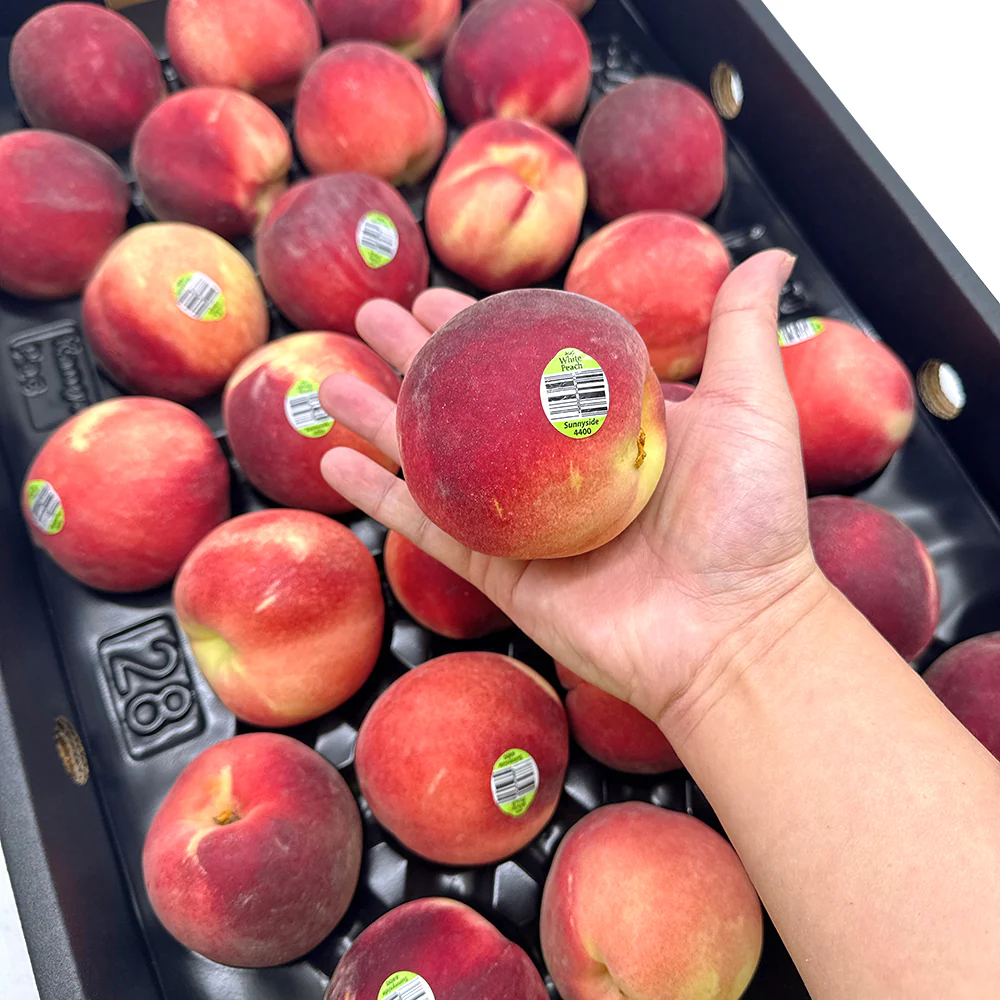 Watermelon Peach - 4 pcs - Image 2