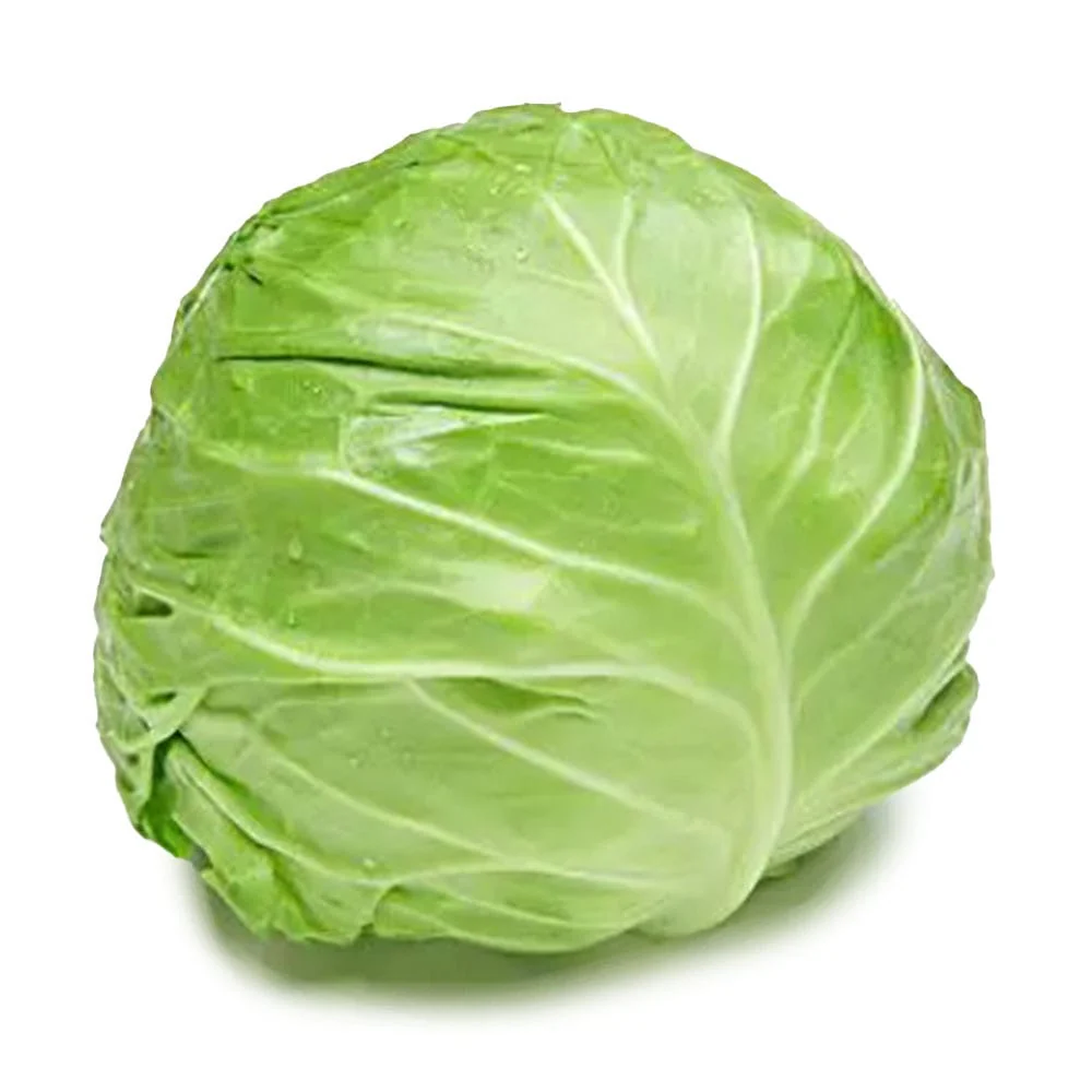 Whole Green Cabbage - 1 Piece