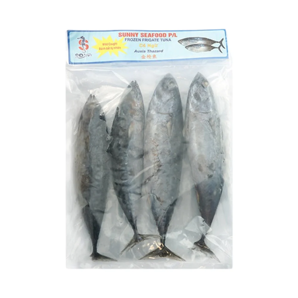 Wild-Caught Whole Frigate Tuna – Frozen 1kg - Image 2