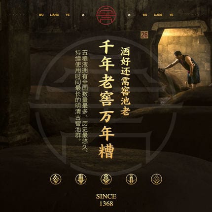Wuliangye Baijiu - 52% 500ml - Image 3