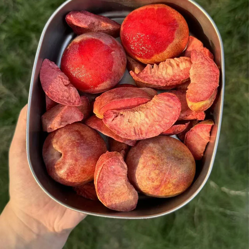 Wulingtuan Dinosaur Egg Plum Candy 40g - Image 3