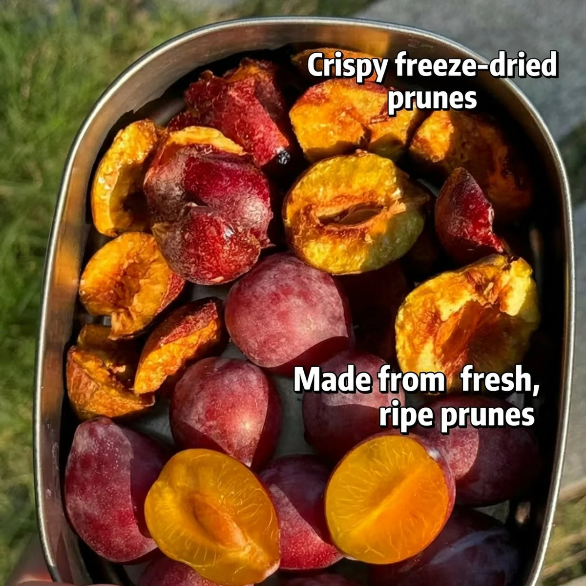 Wulingtuan Freeze-Dried Prunes from Xinjiang Tumushuke 40g - Image 3