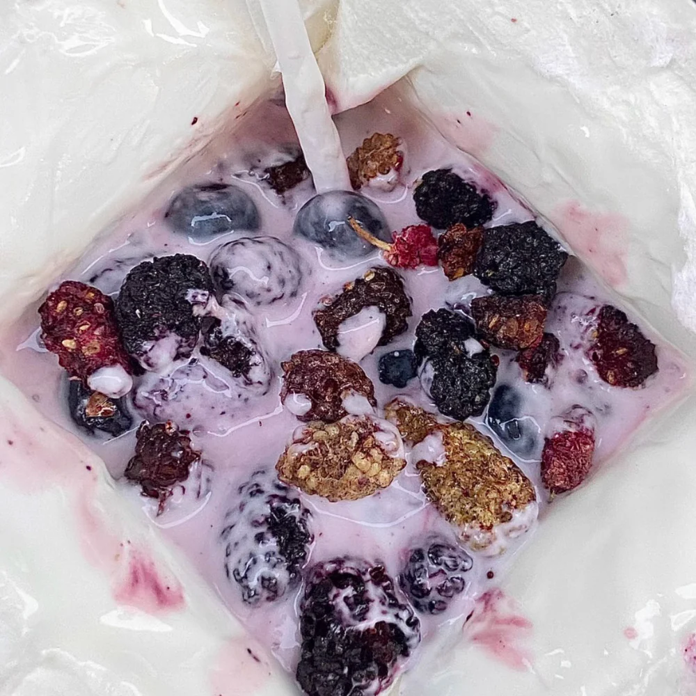 Wulingtuan Lvtangxin Xinjiang Freeze-Dried Mulberries 25g - Image 3