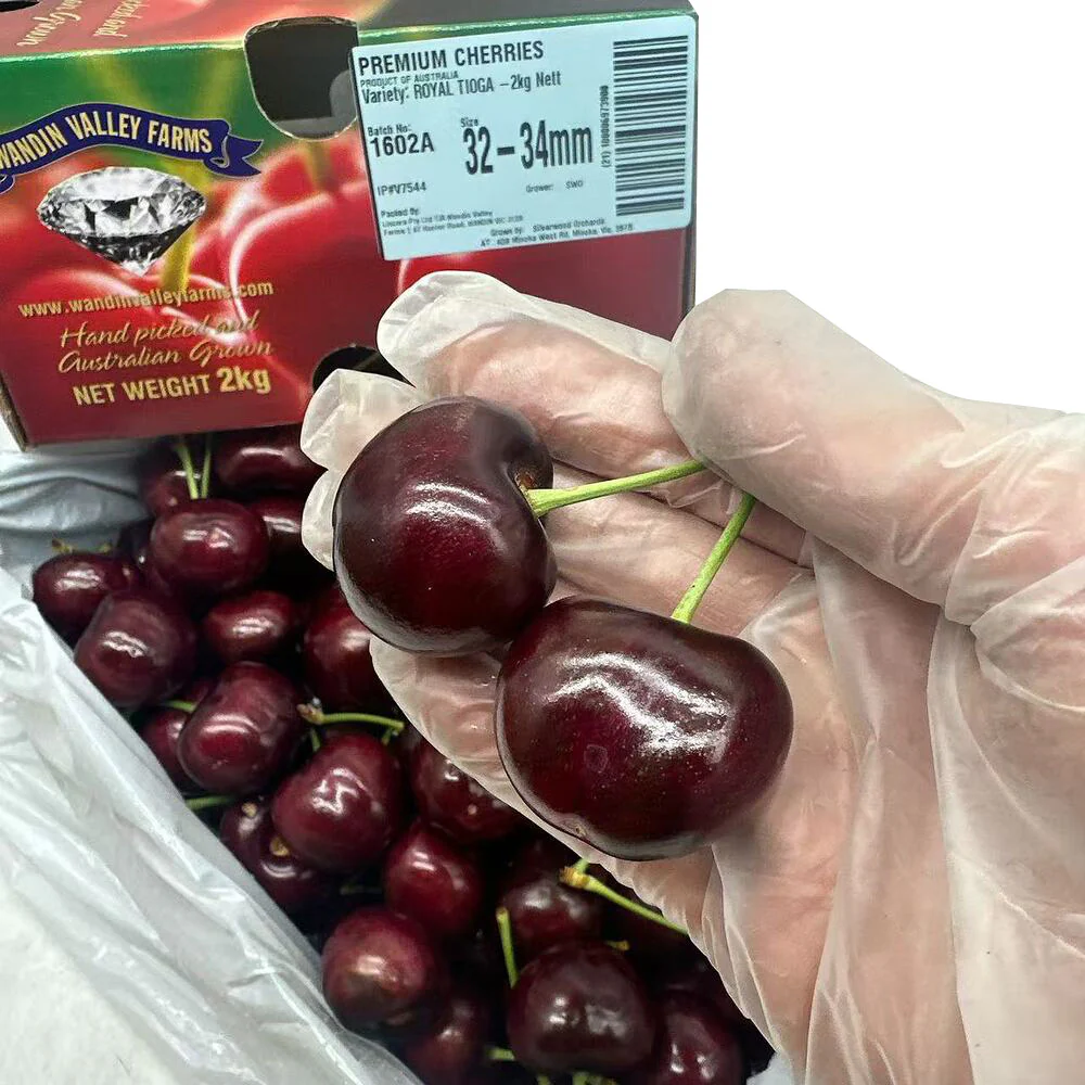 WVF Royal Tioga Cherries 32–34mm – 2kg Gift Box - Image 4
