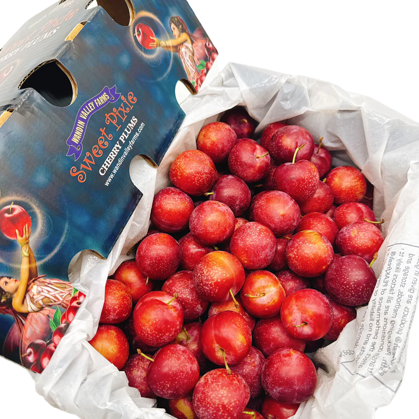 WVF Sweet Pixie Cherry Plums Gift Box - 2kg - Image 3