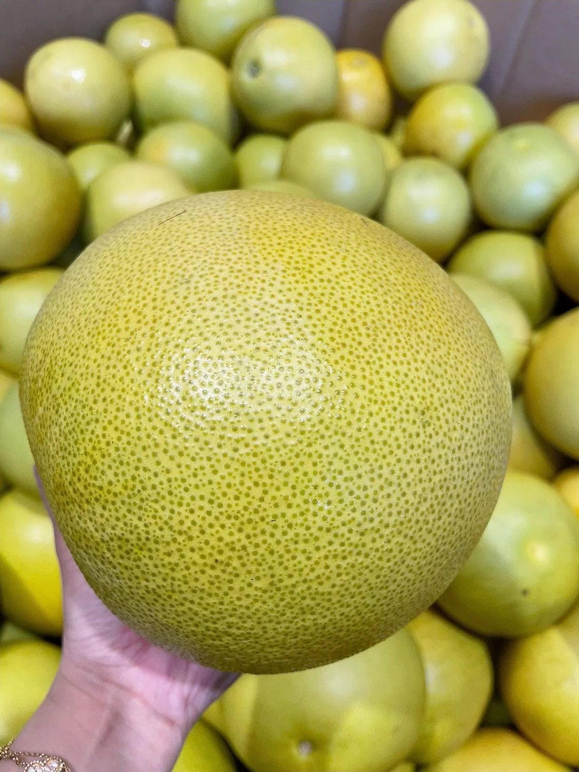 Xi Shi Honey Pomelo - 0.9kg - Image 3