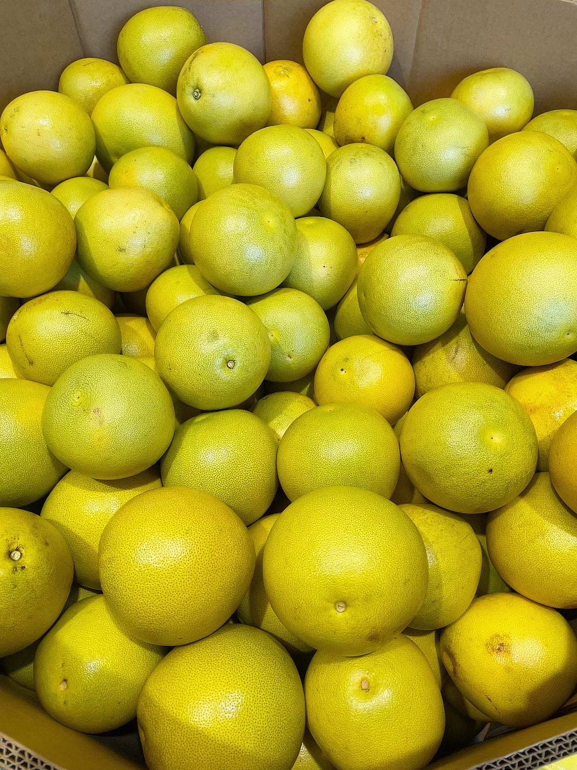 Xi Shi Honey Pomelo - 0.9kg - Image 4