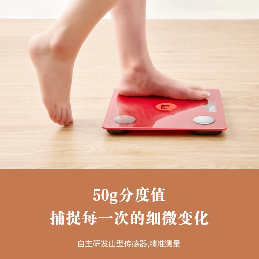 Xiangshan LCD Body Fat Scale Morandi Blue USB Rechargeable - Image 4