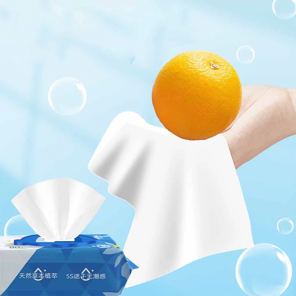 Xiaodingdong Wet Toilet Paper - 80 Sheets - Image 2