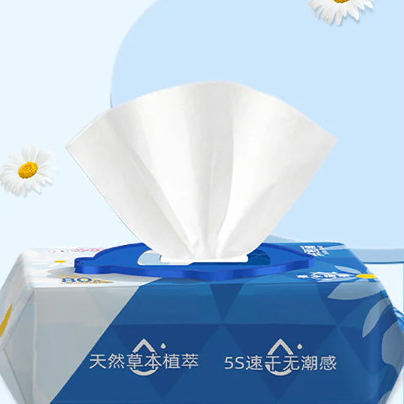 Xiaodingdong Wet Toilet Paper - 80 Sheets - Image 4