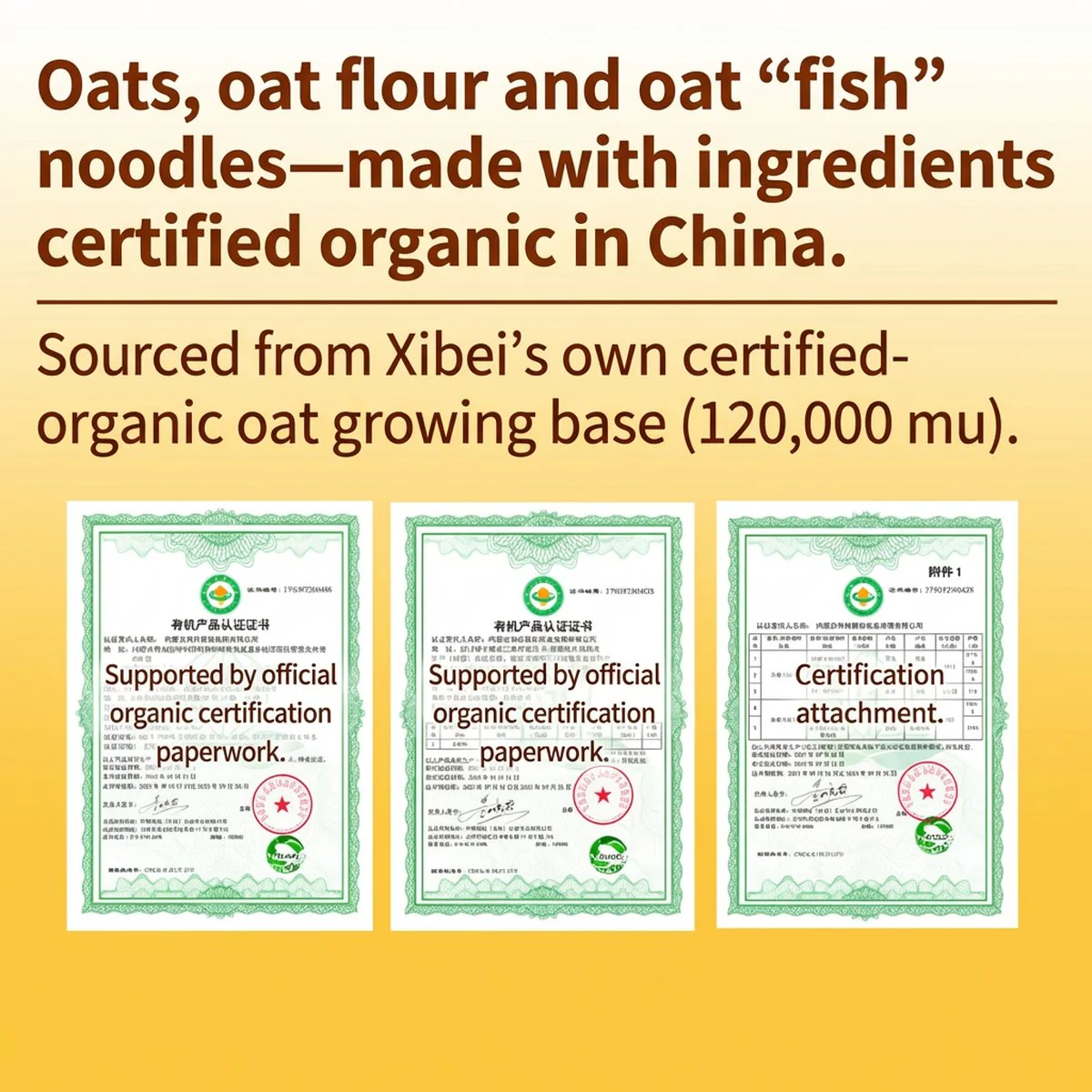 Xibei Kungfu Dishes Frozen Organic Oat Pasta 200g - Youmian Yuyu - Image 5