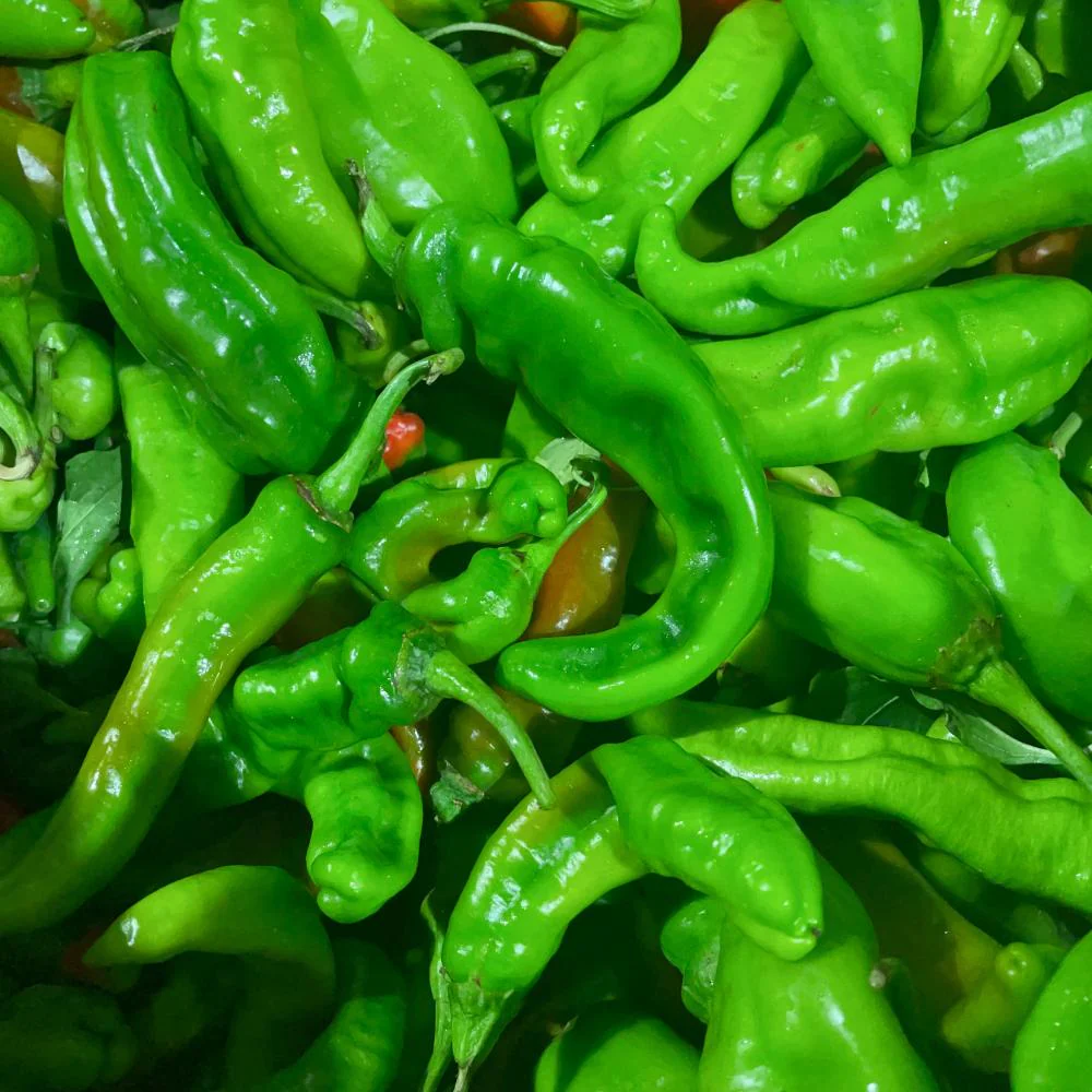 Xinjiang Chili Peppers - 500g - Image 3