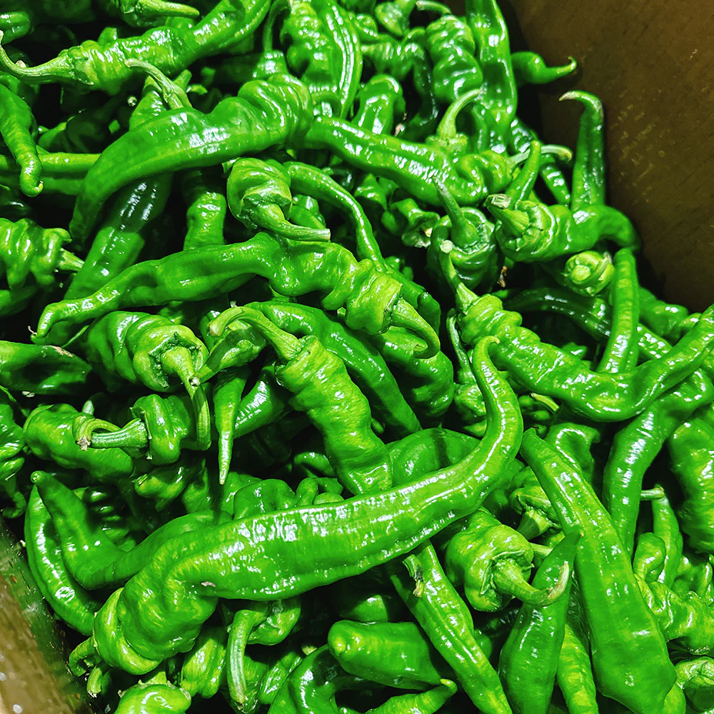 Xinjiang Spiral Peppers - 500g - Image 2