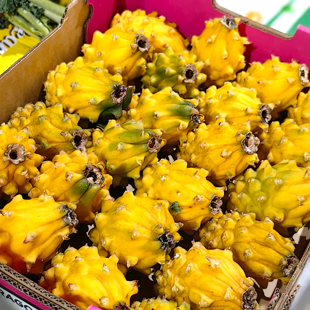 Yellow Dragon Fruit (Pitaya) - Medium, 2 Pieces - Image 5