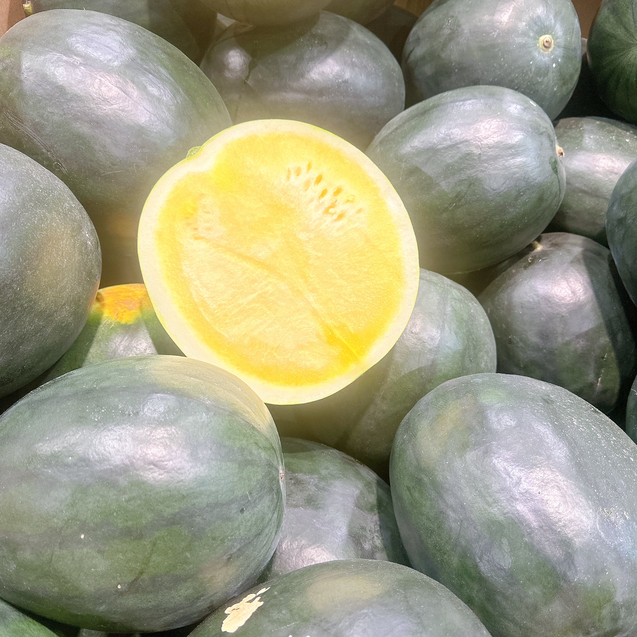 Yellow-Flesh Watermelon (Green Rind) – 4kg - Whole Yellow Watermelon Fruit