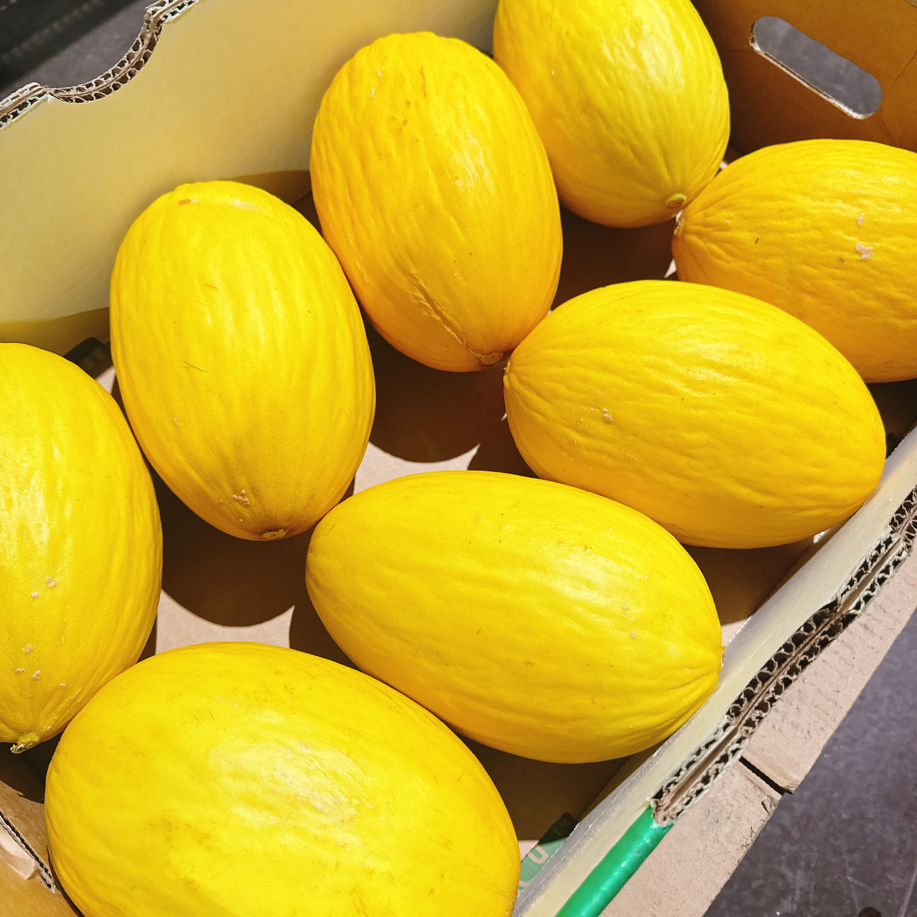 Yellow Skin Christmas Melon - 1 Piece - Image 2