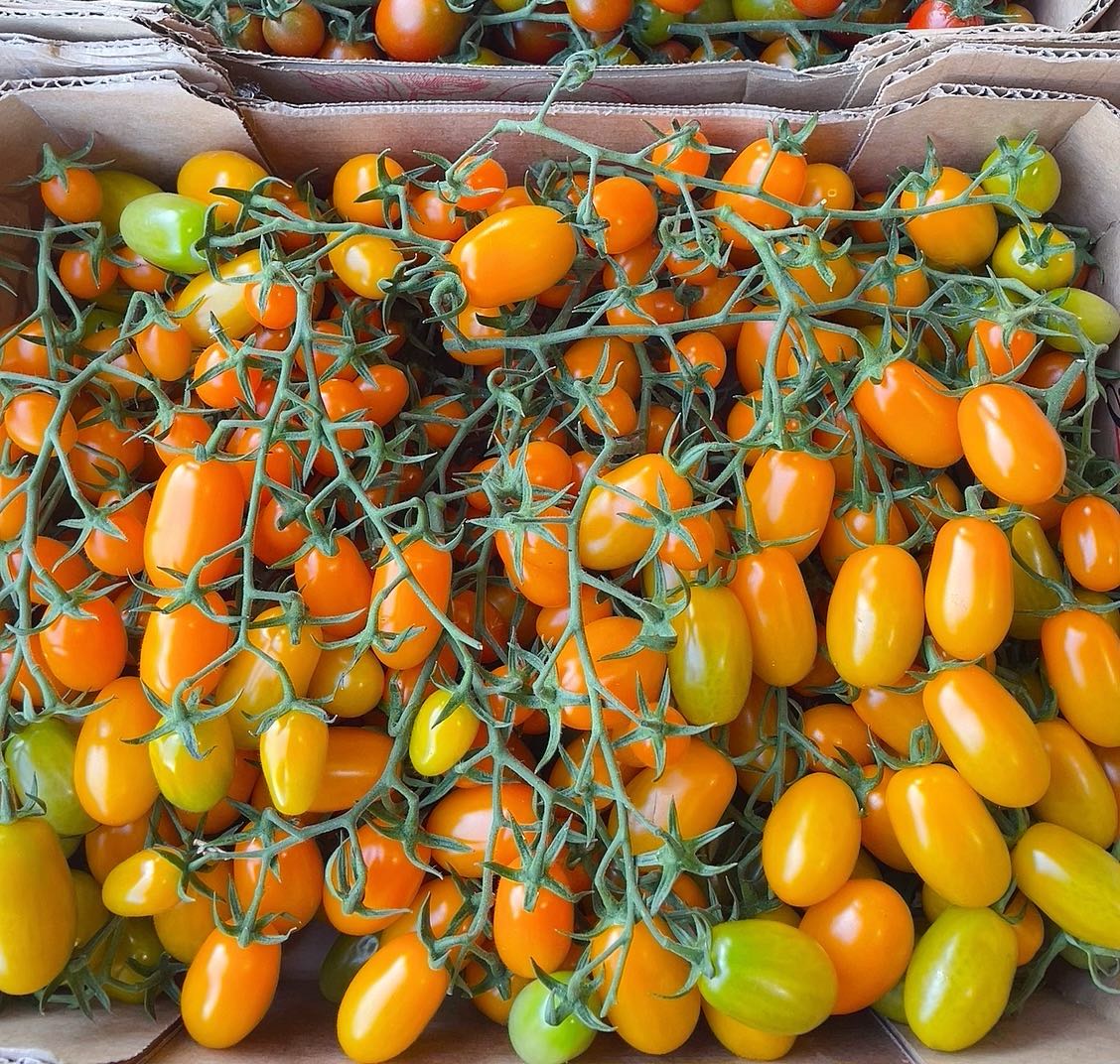 Yellow Vine Tomatoes - 500g - Image 3