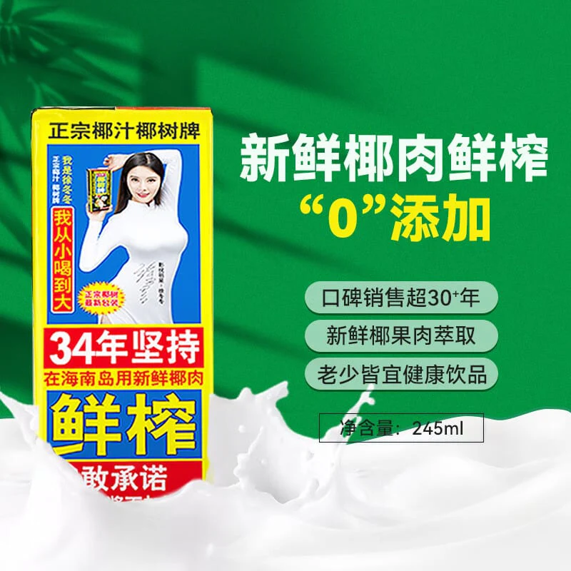Yeshou Coconut Milk - 245ml x 24 Boxes - Image 2